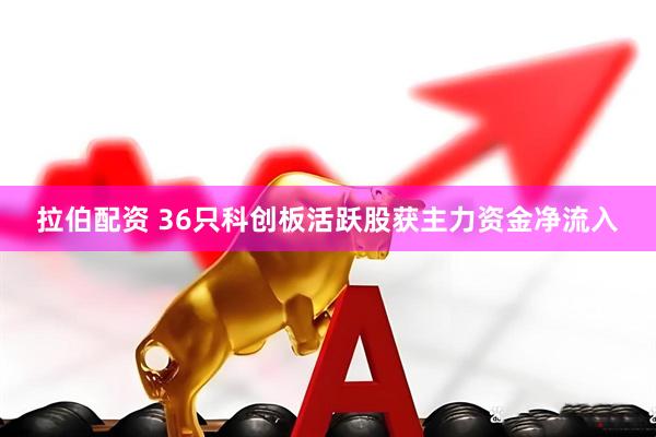 拉伯配资 36只科创板活跃股获主力资金净流入