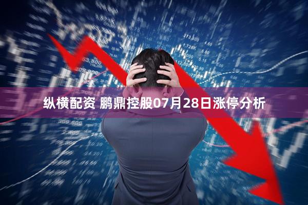 纵横配资 鹏鼎控股07月28日涨停分析