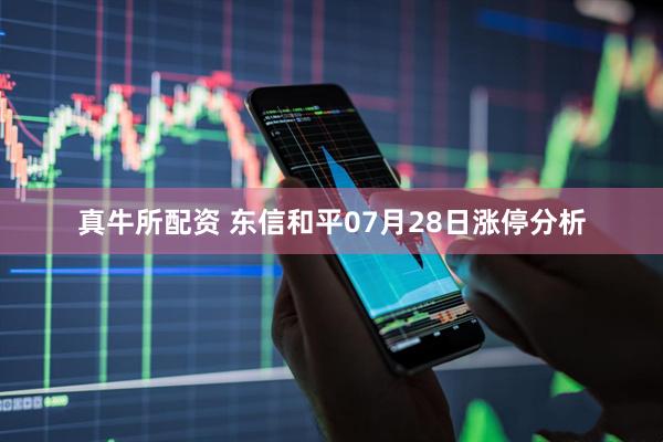 真牛所配资 东信和平07月28日涨停分析