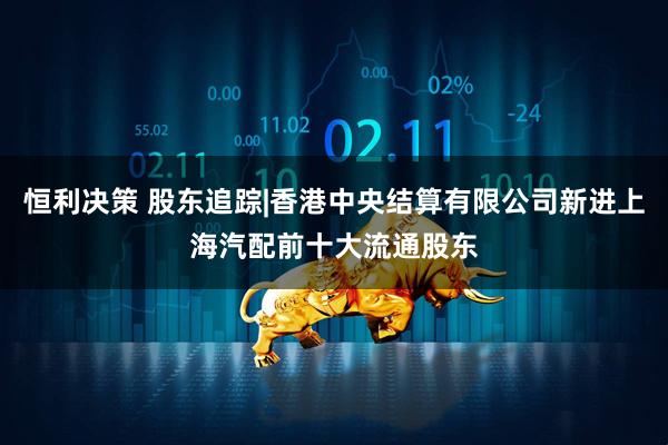 恒利决策 股东追踪|香港中央结算有限公司新进上海汽配前十大流通股东
