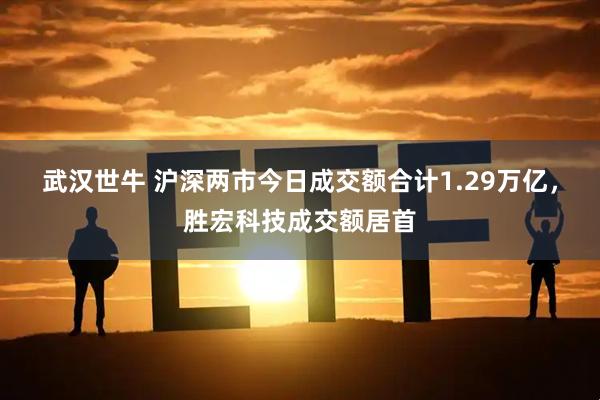 武汉世牛 沪深两市今日成交额合计1.29万亿，胜宏科技成交额居首